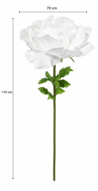Róża - 170cm x 70cm, biała