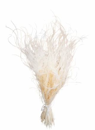 Stipa pennata 50g bielony