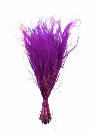 Stipa pennata 50g erika