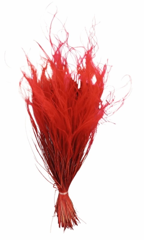 Stipa pennata 50g rosso