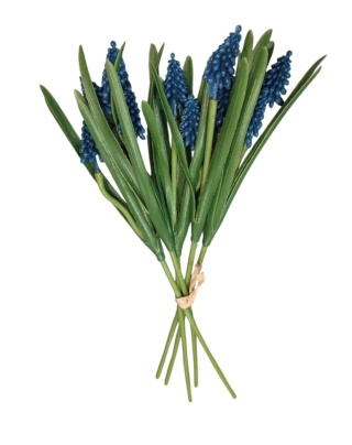 Szafirek, bukiecik 35 cm