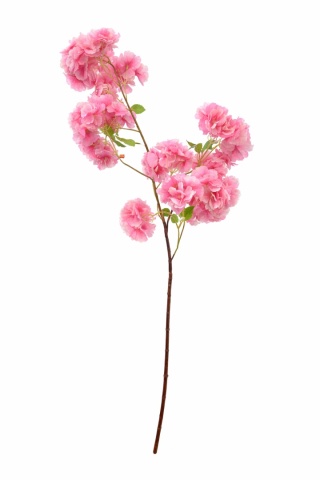 Sztuczna gałązka kwitnącej wiśni – 100 cm, róż
