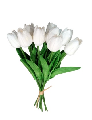 Tulipan, bukiet x9 (pianka) 35 cm – biel