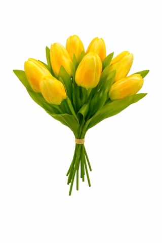 Tulipan – bukiet, 40 cm, żółty
