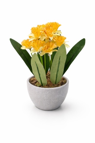 Żonkil w betonowej doniczce 23cm