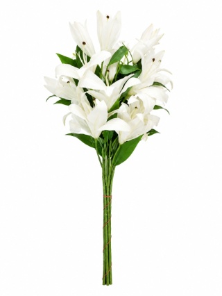 Lilia bukiet - 55cm, biel