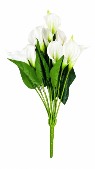 Calla - bukiet, 50cm x 25cm, biała