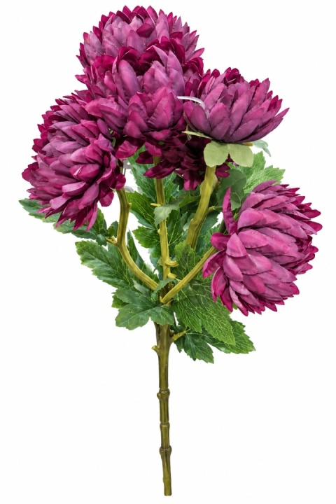Chryzantema gałązkowa - 55cm, ciemny fiolet
