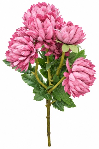 Chryzantema gałązkowa - 55cm, róż