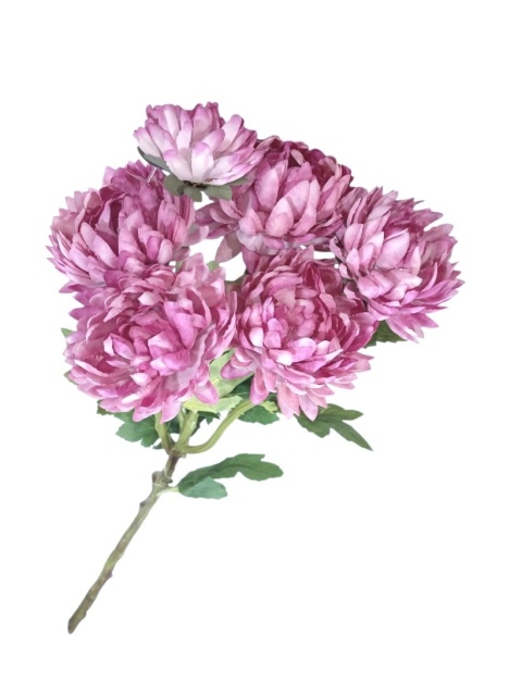 Chryzantema gałązkowa - 55cm, róż