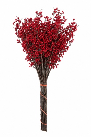 Okrasná vetva stromu - 90 cm x 40 cm, červená