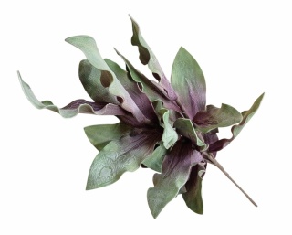 Kwiat piankowy 95 cm, zielony