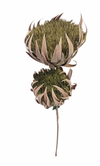 Kwiat piankowy podwójny 80 cm, zielony