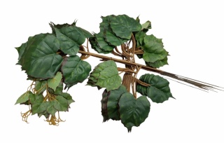 LIŚCIE 54 cm