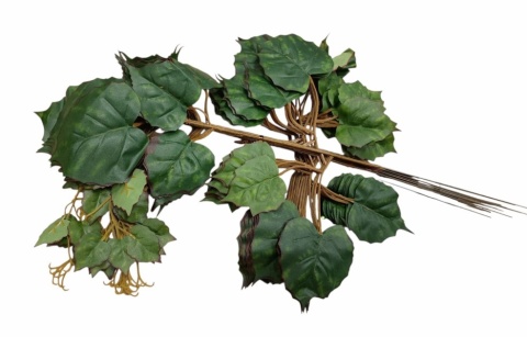 LIŚCIE 54 cm