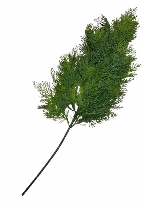 Liść tuja 66 cm, zielony