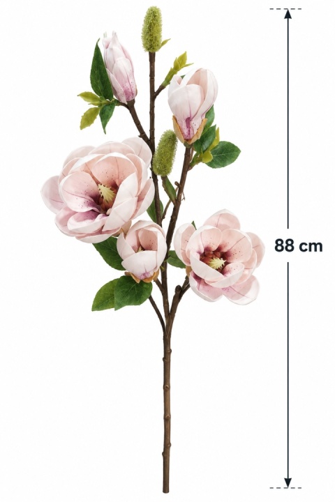 Magnolia 88 cm, biało-różowy