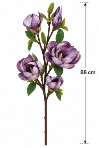 Magnolia 88 cm, fioletowy