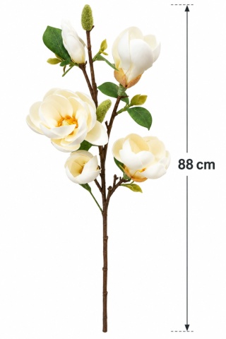 Magnolia 88 cm, krem