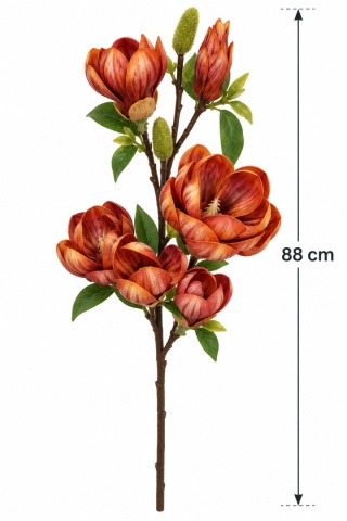 Magnolia 88 cm, rudy