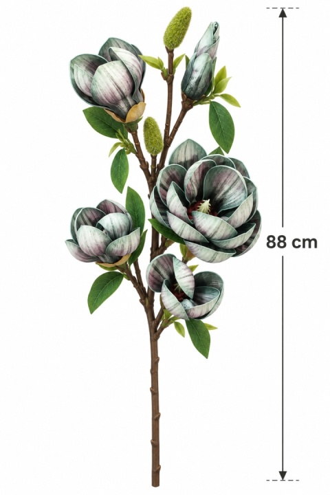 Magnolia 88 cm, zielony