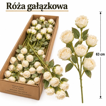 Róża gałązkowa 63 cm, biały