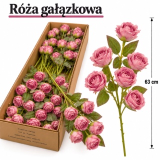 Róża gałązkowa 63 cm, ciemny róż