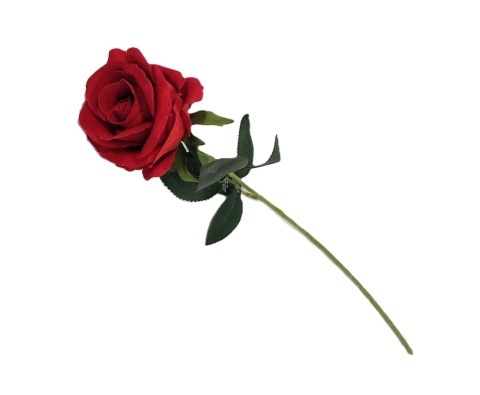 Róża pojedyńcz velvet 50 cm, bordo